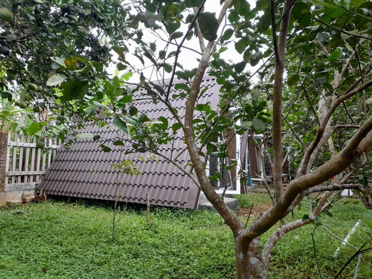 Tam Tinh Vien Homestay Hué Eksteriør billede