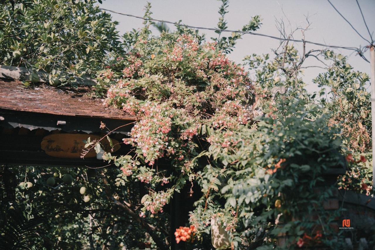 Tam Tinh Vien Homestay Hué Eksteriør billede