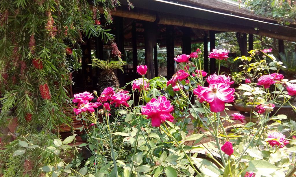 Tam Tinh Vien Homestay Hué Eksteriør billede