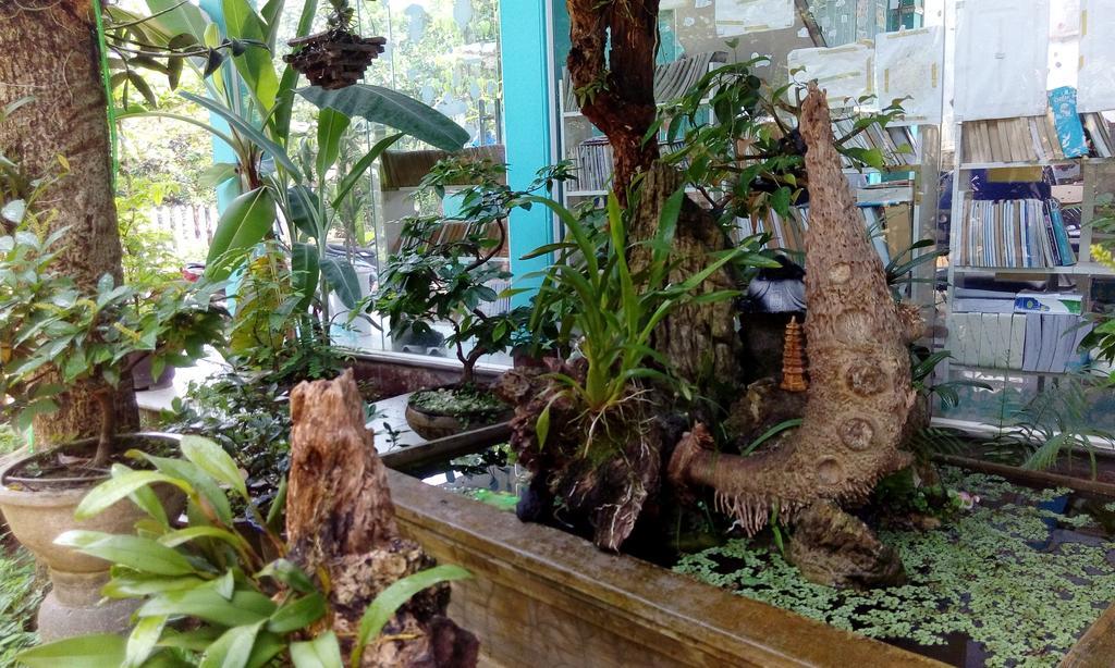 Tam Tinh Vien Homestay Hué Eksteriør billede