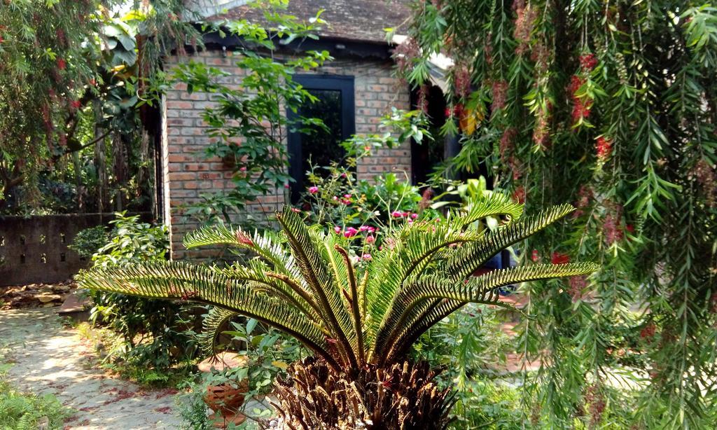 Tam Tinh Vien Homestay Hué Eksteriør billede