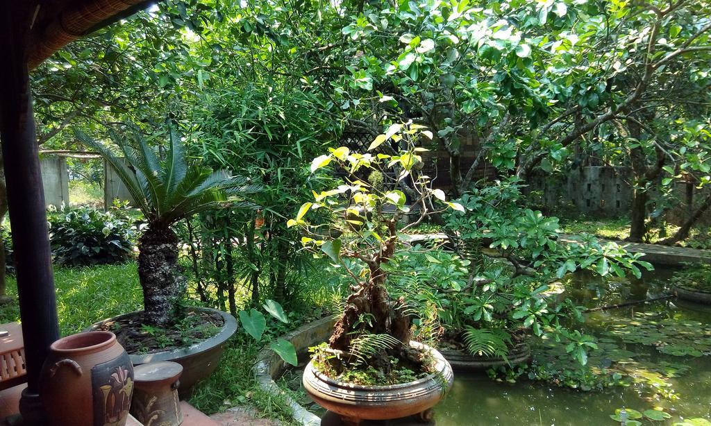 Tam Tinh Vien Homestay Hué Eksteriør billede
