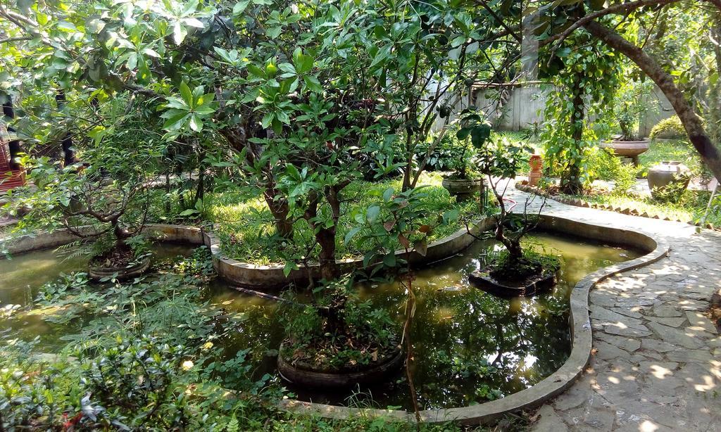 Tam Tinh Vien Homestay Hué Eksteriør billede
