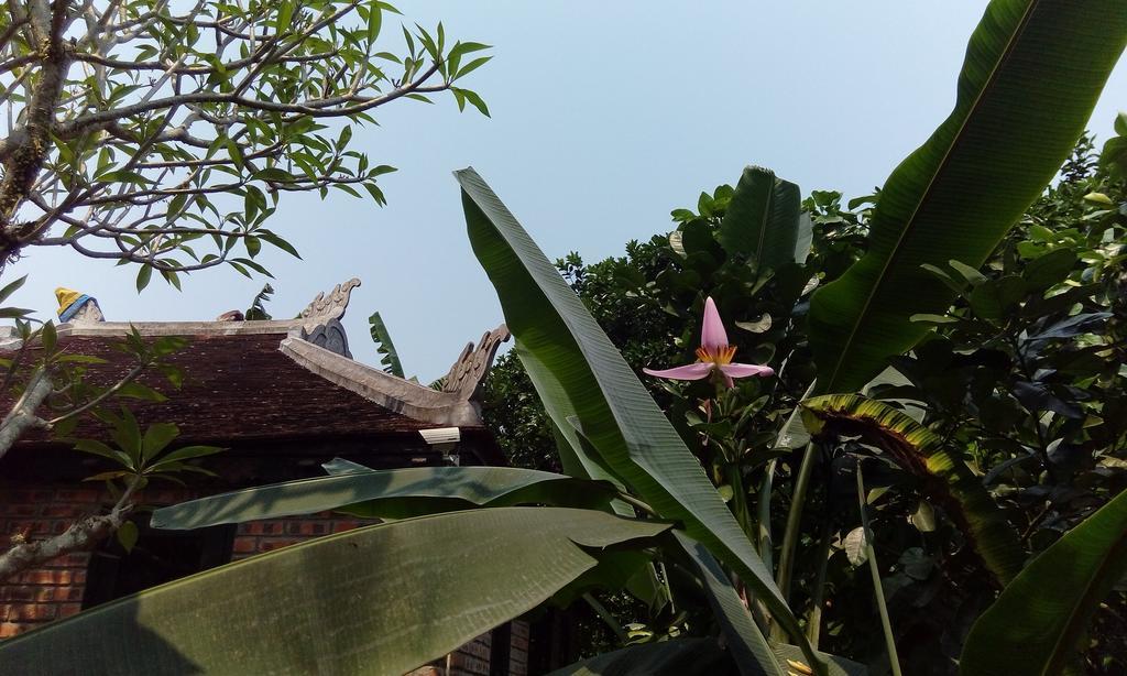 Tam Tinh Vien Homestay Hué Eksteriør billede