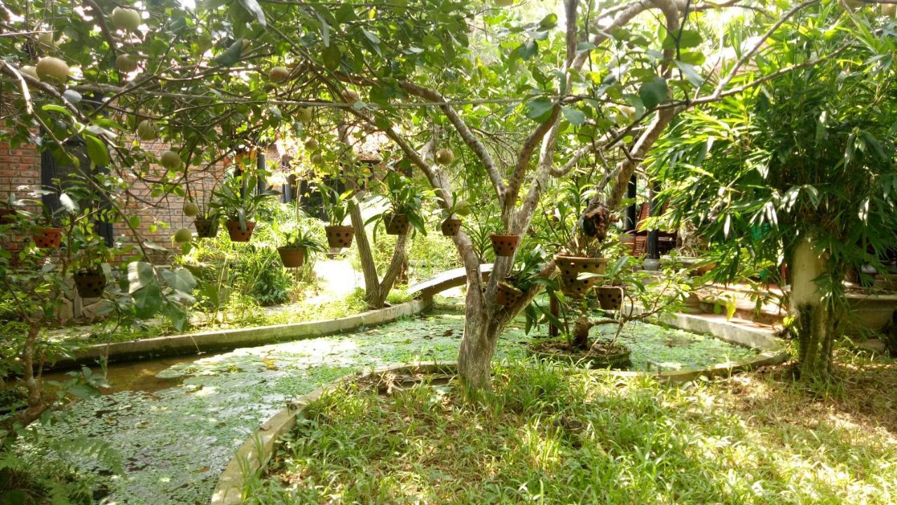 Tam Tinh Vien Homestay Hué Eksteriør billede
